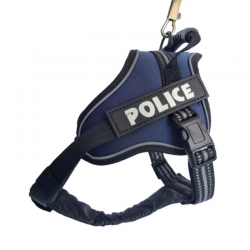 Arnes Pechera Police...