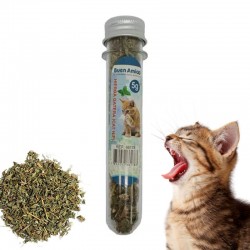 Hierba Gatera Hoja Seca De...
