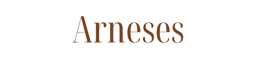Arnes